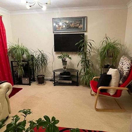 Cozy Homestay Croydon Esterno foto