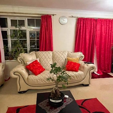 Cozy Homestay Croydon Esterno foto