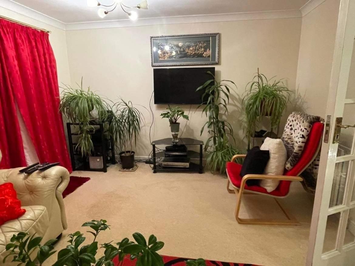 Cozy Homestay Croydon Esterno foto
