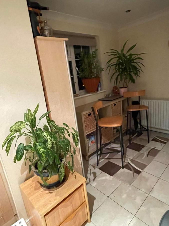 Cozy Homestay Croydon Esterno foto