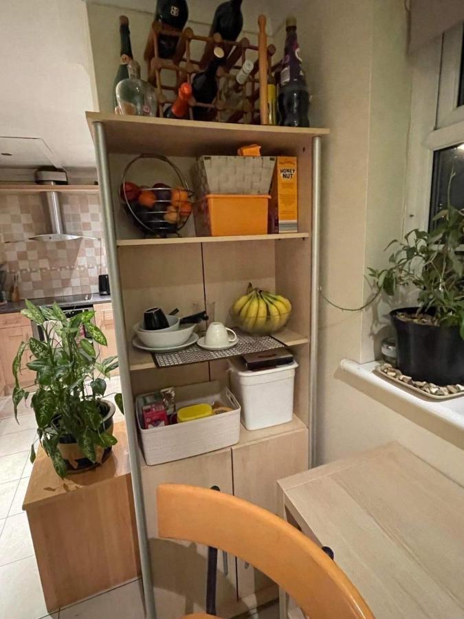 Cozy Homestay Croydon Esterno foto
