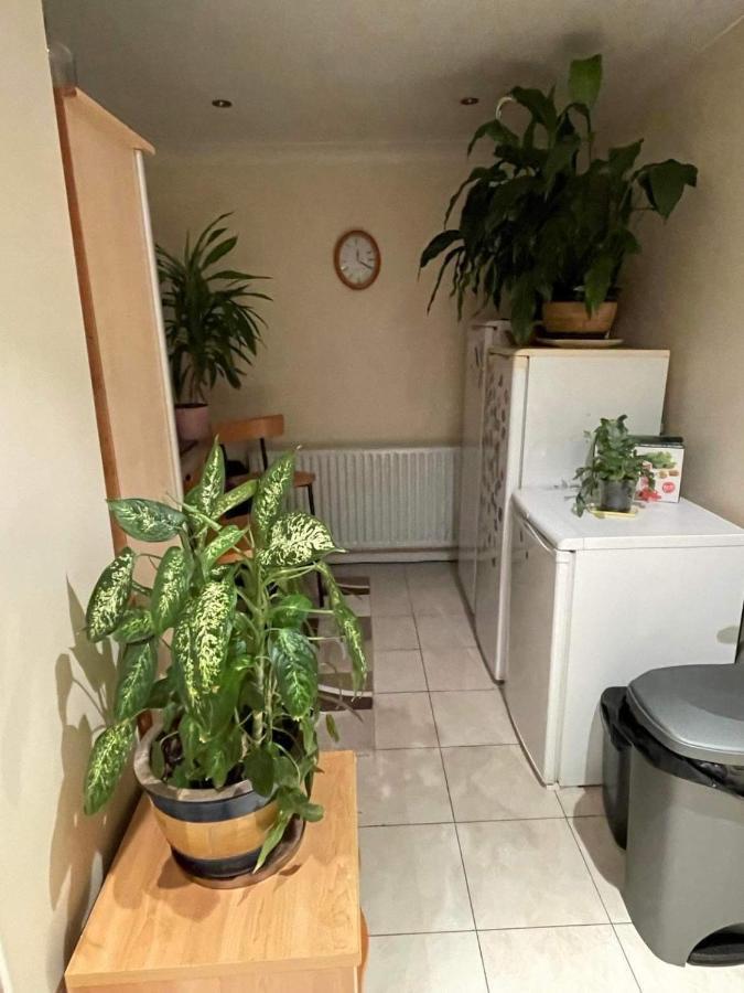 Cozy Homestay Croydon Esterno foto